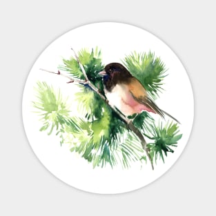 Dark-Eyed Junco Magnet